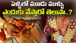 పెళ్ళిలో మూడు ముళ్ళు ఎందుకు వేస్తారో తెలుసా .? | Why put three thorns in the wedding || Sankalpam TV