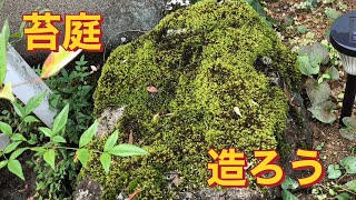 苔を採って庭に移植するよ