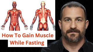 Stanford Professor: Guide to Exercising and Gaining Muscle During Fasting | Andrew Huberman