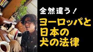 全然違う！ヨーロッパと日本の犬の法律