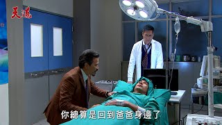 天道│EP279預告 均楠遭電暈帶走！子茜戒指掉落感應未婚夫出事了 開陽手術助重仁喚回永傳 Fight For Justice│ Vidol.tv