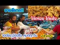 ขายดีสุดสุด!!ไก่กรอบไก่แซ่บ‼️คนรุมตลอด👍ทอดขึ้นไม่ทัน💥100โล2,000ชิ้น💥 หมดทุกวัน😱 มาช้าอดกิน💥