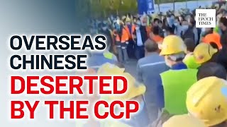 Chinese in Russia, Nepal and Kenya Plead to the CCP for Help | CCP Virus | COVID-19 | Coronavirus