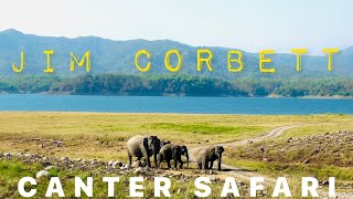 Canter Safari at Jim Corbett National Park | Dhikala Zone | Tiger \u0026 Elephant Sighting | Wildlife |