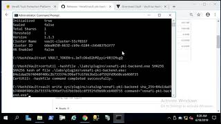 HashiVault on Windows