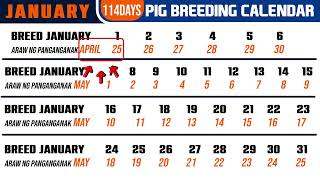 PIG BREEDING CALENDAR
