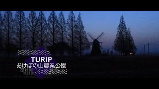 TURIP-あけぼの山農業公園~令和六年四月十四日~