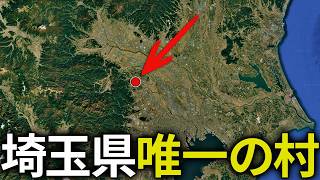 埼玉県唯一の村を観光してみたら…