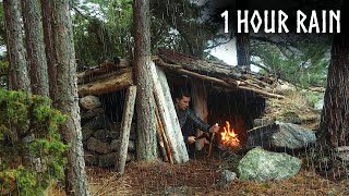 🌧️Camping in RELAXING RAIN: 1 Hour of Rain & Nature Sounds for Sleep and Calm