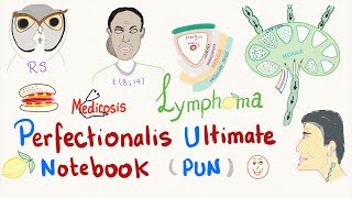 Perfectionalis Ultimate Notebook (PUN): Lymphomas