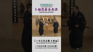 Bokuden Ryu Iai Heiho【Issun Sanjaku no Koto 3 Beppo】Issun Sanjaku no Koto（Kodachi no Waza） #shorts