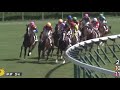 【危険】新馬戦で馬が内ラチに激突！！