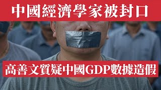 中國經濟學家高善文質疑中國GDP數據造假被禁言！2024中國經濟全面崩塌：200萬餐飲倒閉1000萬人失業，199家銀行爆雷，2000家電視臺停擺關門倒閉，滬深300暴跌創新低！專家：2025或更慘！