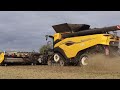 new holland cr 11 macdon fd245 trebbiatura soia soybeans harvest