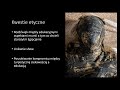 seminarium nr 5 forum archeologii publicznej