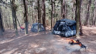Camp Firefly USA 🐛