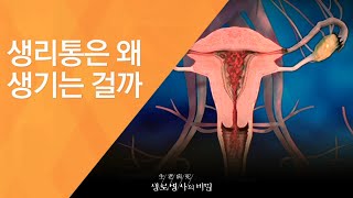 생리통은 왜 생기는 걸까 - (20120519_413회 방송)_인체의 사이렌 통증 1편 - 생리통