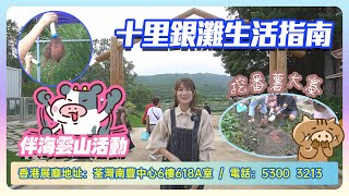 【2023十里銀灘-生活指南】伴海雲山活動-挖番薯大賽  #十里銀灘生活指南