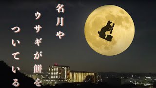 中秋の名月　ウサギさんが餅をついてる　十五夜