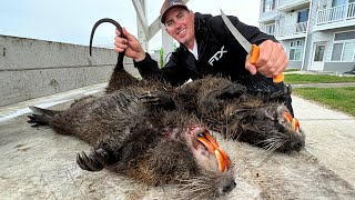 Hunting Giant Rats out of a Crazy Boat with a Shooting Tower! (catch & Cook)