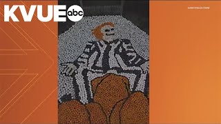 English farm creates 'Beetlejuice' pumpkin mosaic