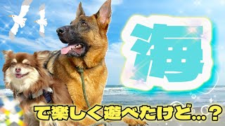 【夏の海】そらナズと海に行くとこうなります(笑)