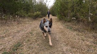 Afternoon Hike Into The Menzel Centennial Provincial Nature Reserve