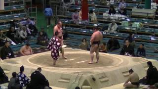 肥後嵐-巨東/2017.3.22(3)/higoarashi-oazuma/day10 #sumo