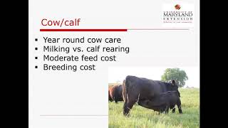 Monday Moos Webinar: Why Cattle?