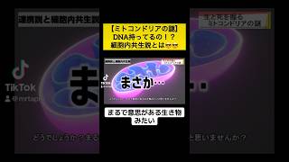 【まさか…】ミトコンドリア細胞内共生説とは🫛🤯