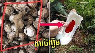 ក្អួតចង់ដាច់ពោះវៀន ងាវចិញ្ចឹម ដាក់សំឡីអាម័យមានឈា.ម.រដូវ ដែលគេទិញពីអ្នកសម្អាតបន្ទប់ទឹក..| CM News