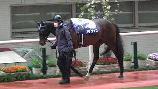 【競馬】2021 第65回大阪杯GⅠパドック 現地映像 レイパパレ