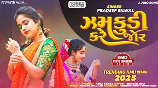 Chaniya Choli Vari Jhamkudi Kare Jor Pradeep Bilwal New Dj Timli Song Remix 2025 Remix By Pintu