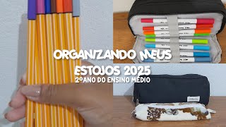 ORGANIZANDO MEU ESTOJO 2025