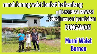 Rumah Burung Walet lambat berkembang milik koperasi KUWASH di BONGAWAN_solusi mencari perubahan.