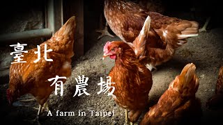 【110年臺北好農】臺北有農場 / There is a farm in Taipei - 士林「芝山有機農場」