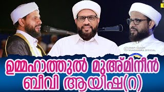 ബീവി ആയിഷ (റ) | Ayisha Beevi (Ra) | Shafi Saqafi Mundambra | Cheruvadi Speech 2023 |Malayalam speech