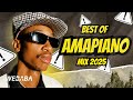BEST OF AMAPIANO MIX 2025 | DJ WEBABA