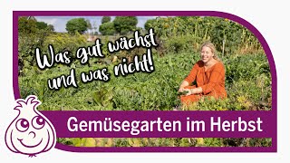 Gemüsegarten im Oktober | Gartenrundgang & neues vom Acker