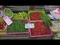 ราคาผัก ตลาดบางกะปิช่วงเช้า 5 12 24 ตะลุตลาด ep.235