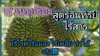 ทุเรียน สูตรอินทรีย์ ไร้สาร ไร้โรคมา5ปีแล้ว