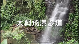 嘉義太興飛瀑步道 號稱台版九寨溝珍珠灘 雨季限定 一探岩盤上的涓涓細流