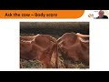 drinagh spring dairy webinar