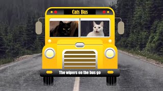 Cats SIng Wheels on the Bus | + More Nursery Rhymes & Kids Songs - Cats Version