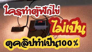 ใครทำตู้ฟักไข่ไม่เป็นดูตรงนี้ | นกยูงอินเดีย ไก่แจ้สวยงาม ไก่ฟ้า