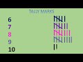 counting with tally marks or tallies kinder 1st 2nd grades math video abc tube tv