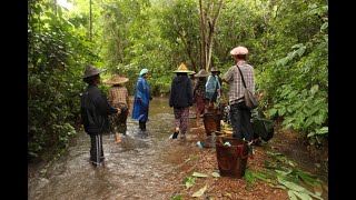 Living with Forest and Having Healthy Food