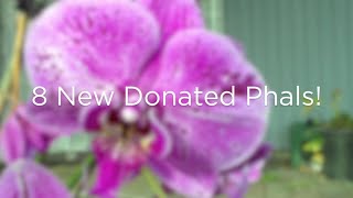 8 New Phals!!!