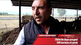 Efeler'de depo yangını! 300 ton kuru ot yandı