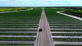 ক্যাপিটাল সার্জ: দক্ষিণ-পশ্চিম Florida.mov-এ প্রথম ধরনের ভেঞ্চার ক্যাপিটাল উদ্যোগ চালু হয়েছে